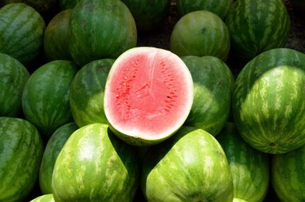 water melon, fruit, sweet-1652093.jpg